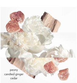 Twilly d'Hermès Eau Ginger - Eau de Parfum Twilly d'Hermès Eau Ginger - Eau de Parfum